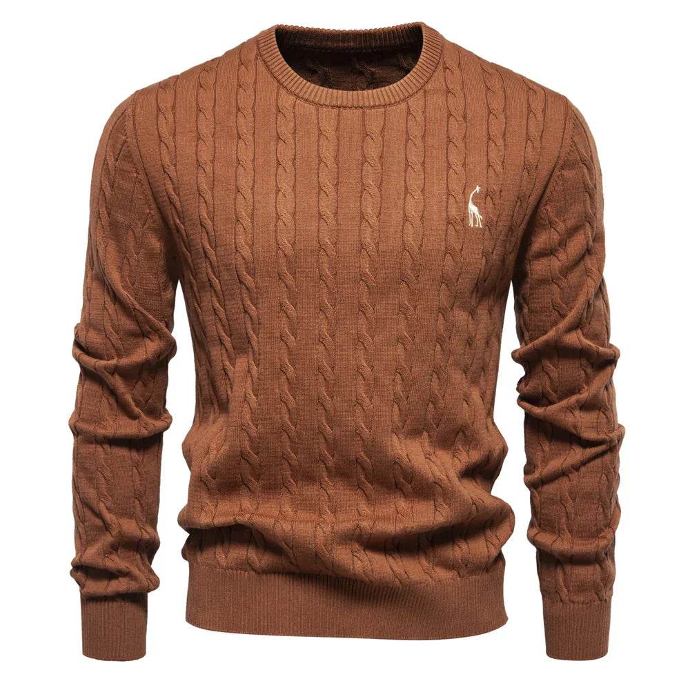 Rogier | Pull Élégant pour Hommes