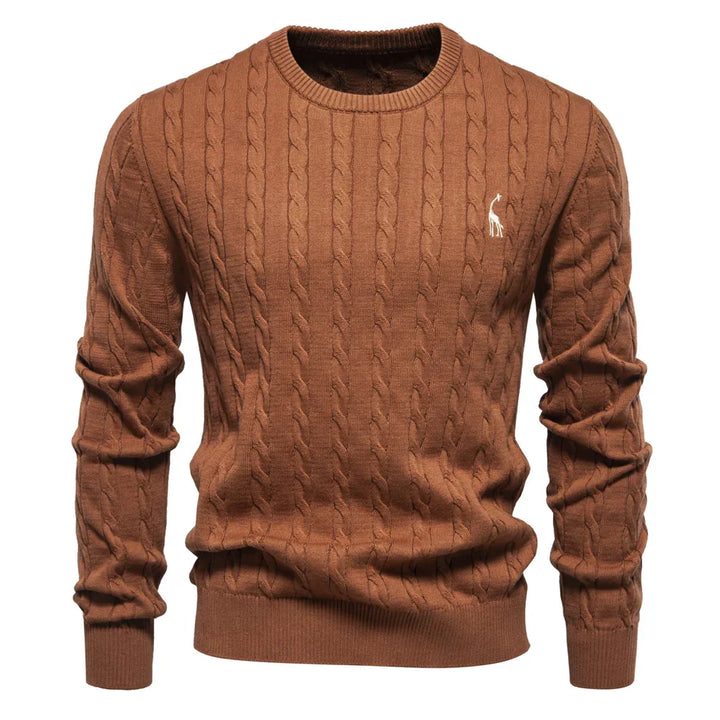 Rogier | Pull Élégant pour Hommes