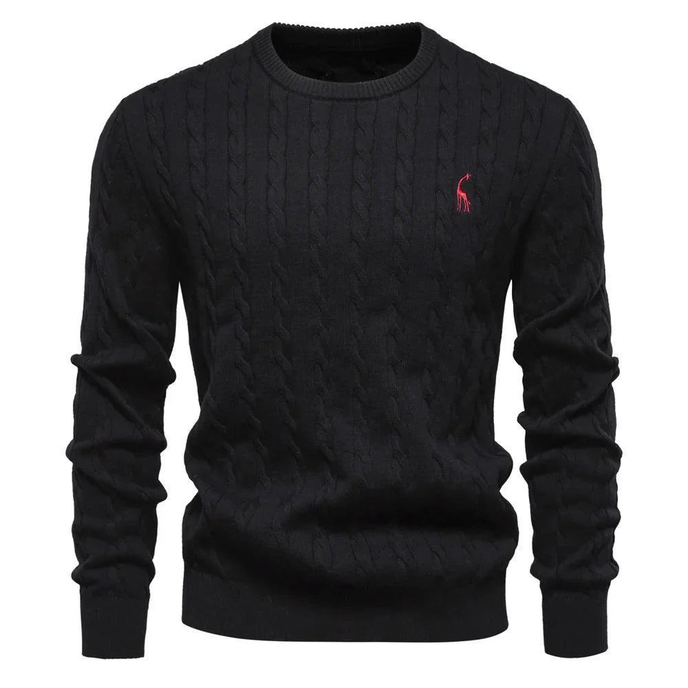 Rogier | Pull Élégant pour Hommes