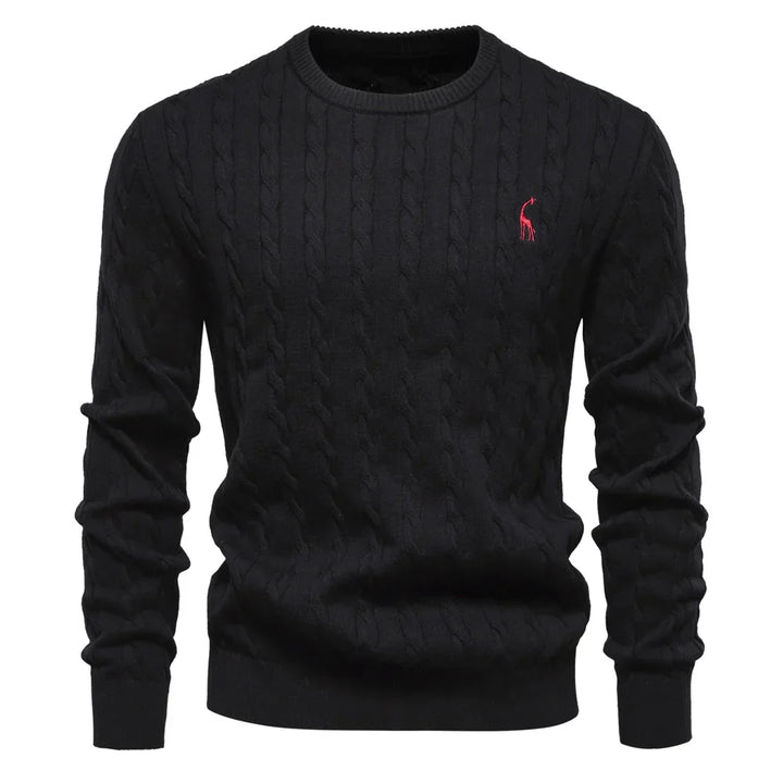 Rogier | Pull Élégant pour Hommes