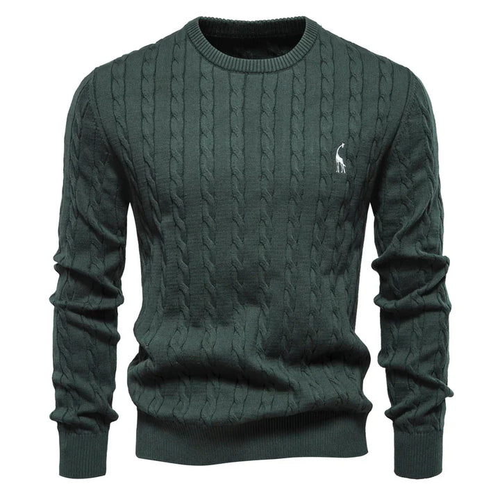Rogier | Pull Élégant pour Hommes