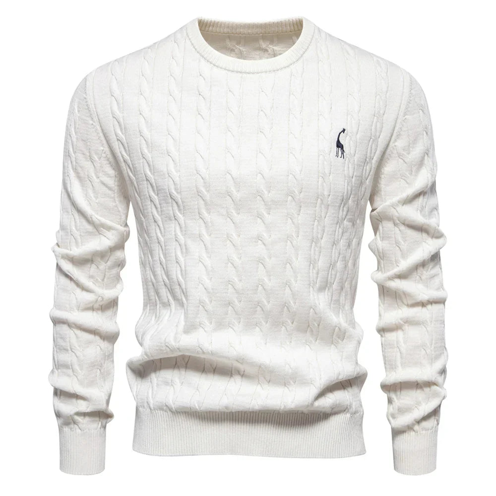 Rogier | Pull Élégant pour Hommes