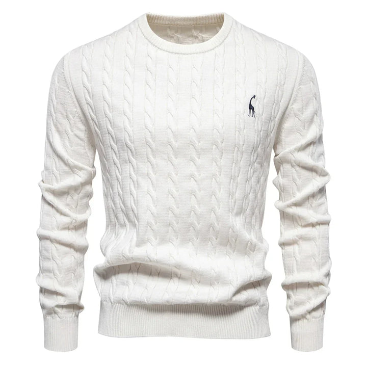 Rogier | Pull Élégant pour Hommes